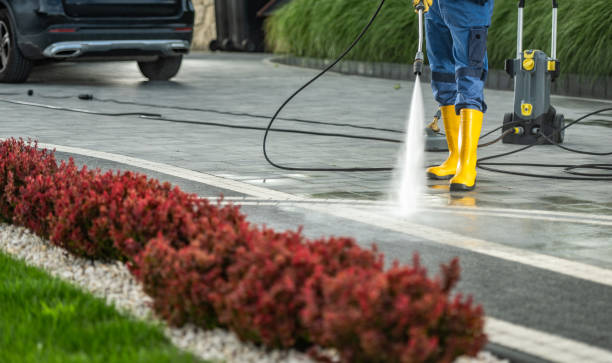  South Les, AK Pressure Washing Pros